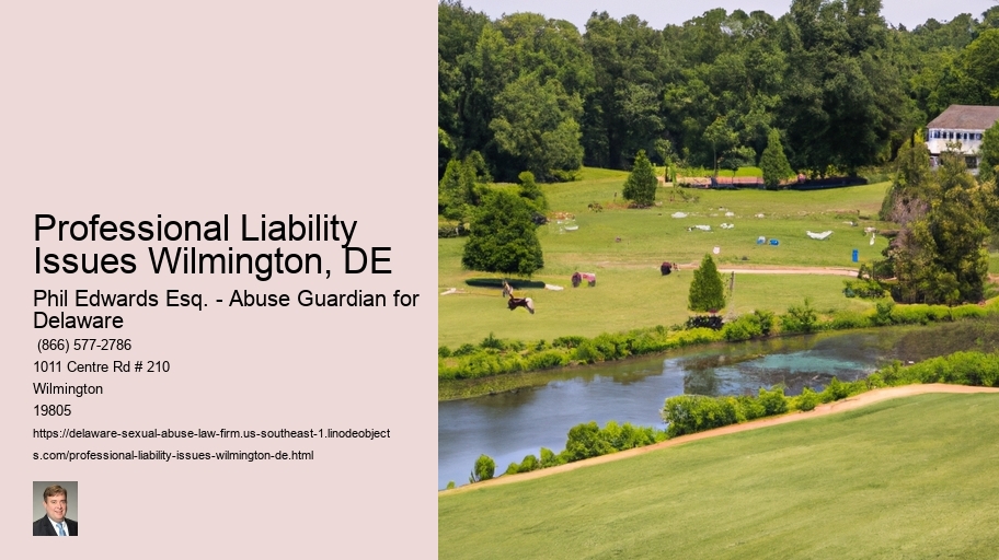 Professional Liability Issues Wilmington, DE